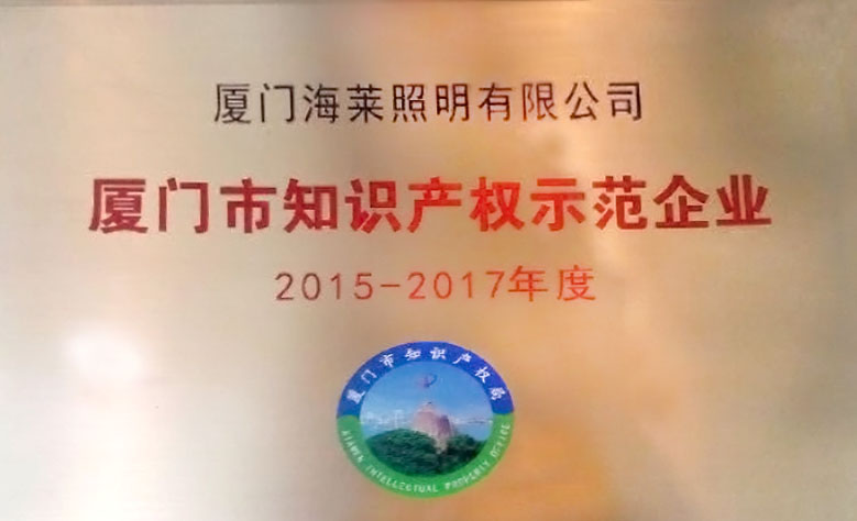 Xiamen Intellectual Property Model Enterprise
