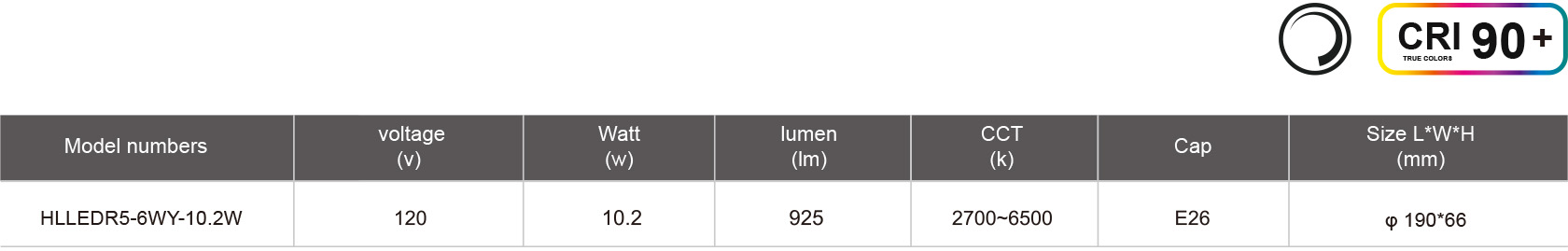 HLLEDR5-6WY-10.2W-规格表.jpg